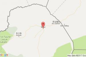 比勞港口查詢_birao港口代碼_中非